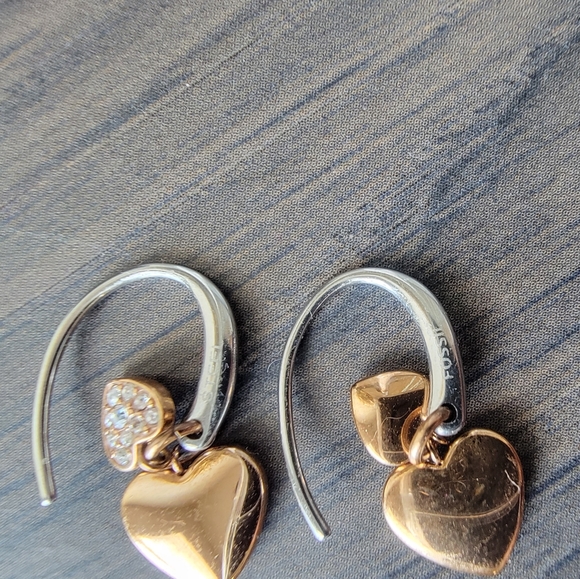 Fossil Dangle Earrings - Picture 2 of 6